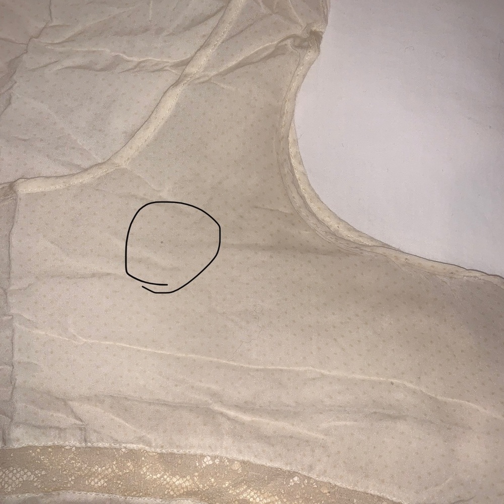 Voile and Lace Trapeze Slip - Picture 6 of 6